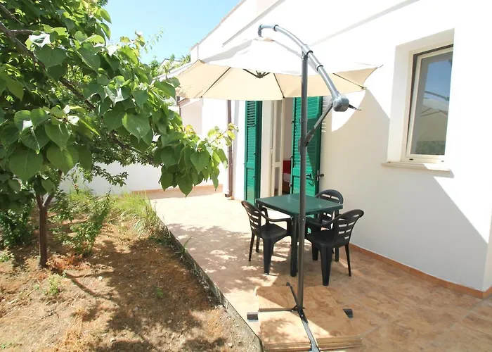 Verdementa ガリポリ